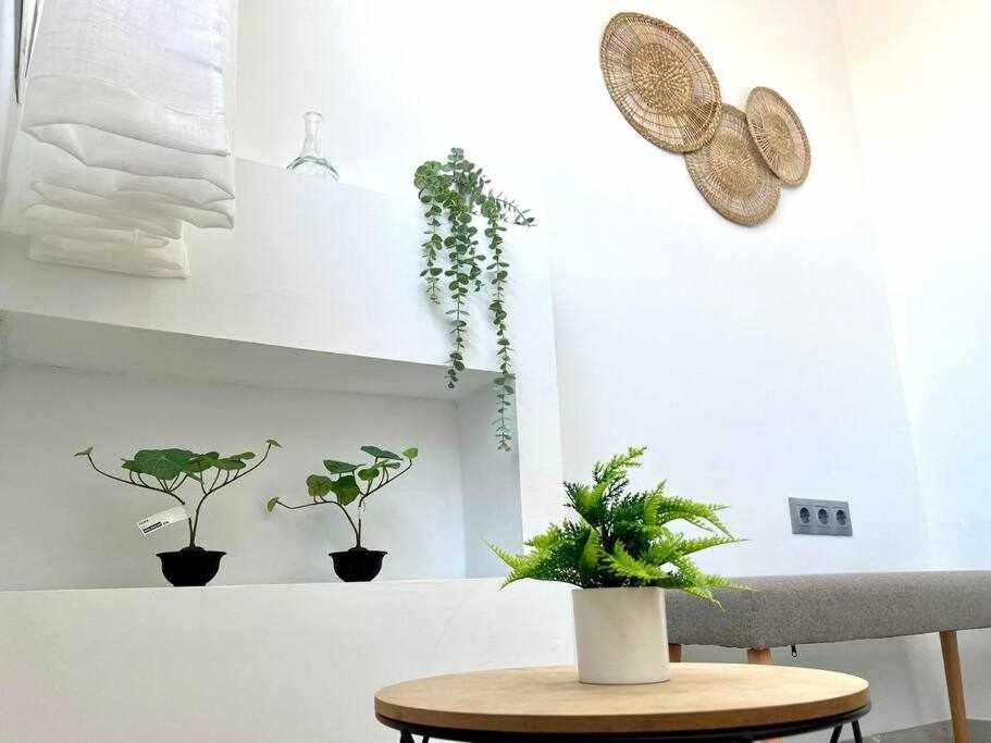 Apartamento nuevo Centro histórico de Málaga Exterior foto